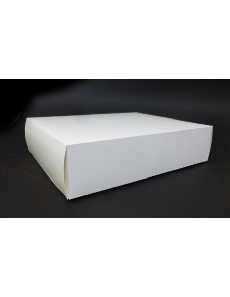 Kartonik do pierniczków 24 x 19 x 6 cm bez okienka