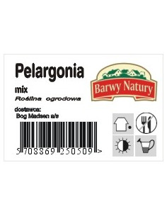 Etykieta do iglaków