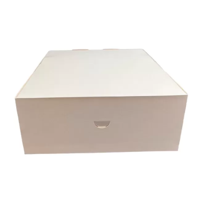 Kartony automatyczne 31 x 22 x 8 cm