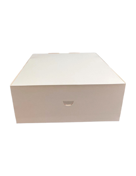 Kartony automatyczne 31 x 22 x 8 cm Kartony automatyczne 31 x 22 x 8 cm